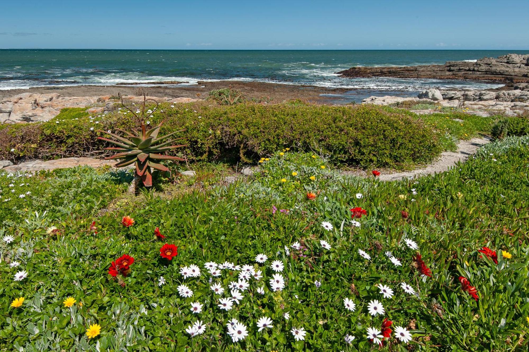 64 Whalerock Estate Daire Hermanus Dış mekan fotoğraf